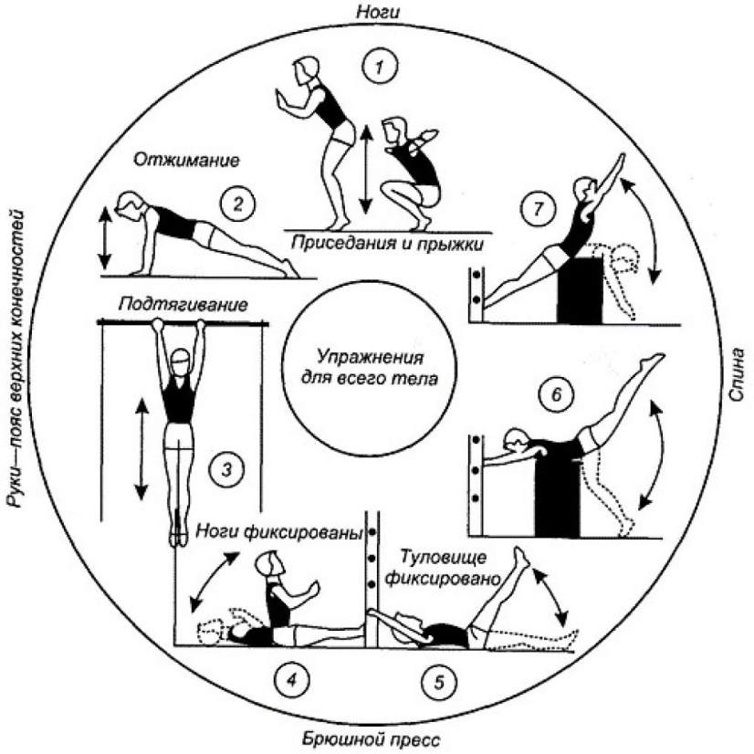 План конспект по круговой тренировке