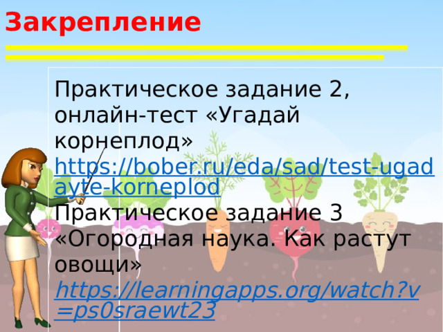 Закрепление Практическое задание 2, онлайн-тест «Угадай корнеплод» https://bober.ru/eda/sad/test-ugadayte-korneplod Практическое задание 3 «Огородная наука. Как растут овощи» https://learningapps.org/watch?v=ps0sraewt23     