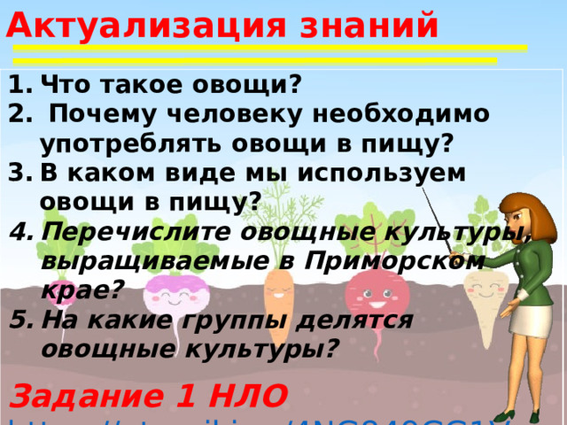 Презентация столовые корнеплоды 6 класс 8 вид