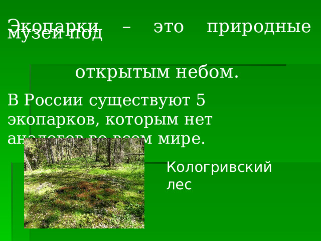 Экопарки – это природные музеи под  открытым небом. В России существуют 5 экопарков, которым нет аналогов во всем мире. Кологривский лес 