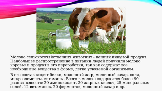 Молоко сельскохозяйственных животных - ценный пищевой продукт. Наибольшее распространение в питании людей получили молоко коровье и продукты его переработки, так как содержат все необходимые вещества в форме, легко усвояемой организмом. В его состав входят белки, молочный жир, молочный сахар, соли, микроэлементы, витамины. Всего в молоке содержится более 90 разных веществ: 20 аминокислот, 20 жирных кислот, 25 минеральных солей, 12 витаминов, 20 ферментов, молочный сахар и др. 