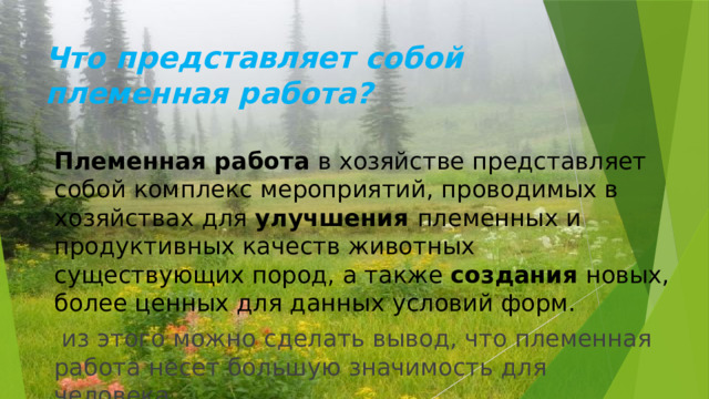 Что представляет собой племенная работа? Племенная работа в хозяйстве представляет собой комплекс мероприятий, проводимых в хозяйствах для улучшения племенных и продуктивных качеств животных существующих пород, а также создания новых, более ценных для данных условий форм.  из этого можно сделать вывод, что племенная работа несет большую значимость для человека. 