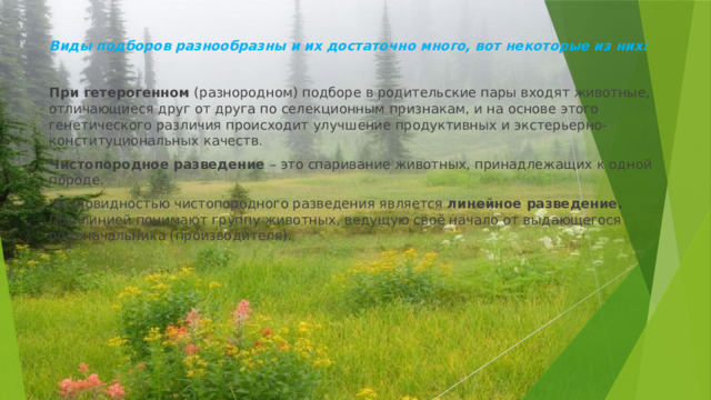 Виды подборов разнообразны и их достаточно много, вот некоторые из них:  При гетерогенном (разнородном) подборе в родительские пары входят животные, отличающиеся друг от друга по селекционным признакам, и на основе этого генетического различия происходит улучшение продуктивных и экстерьерно-конституциональных качеств. Чистопородное разведение – это спаривание животных, принадлежащих к одной породе.   Разновидностью чистопородного разведения является линейное разведение. Под линией понимают группу животных, ведущую своё начало от выдающегося родоначальника (производителя).  