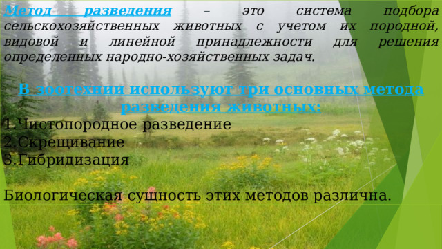 Метод разведения  – это система подбора сельскохозяйственных животных с учетом их породной, видовой и линейной принадлежности для решения определенных народно-хозяйственных задач.  В зоотехнии используют три основных метода разведения животных: Чистопородное разведение Скрещивание Гибридизация Биологическая сущность этих методов различна. 