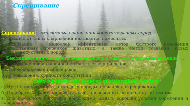 Скрещивание     Скрещивание  – это система спаривания животных разных пород . Потомство от таких спариваний называется помесным. Скрещивание – наиболее эффективный метод быстрого изменения наследственных признаков животных, а также метод создания новых высокопродуктивных пород. Биологическая сущность заключается в том, что скрещивание ведет:  1). к обогащению и расширению наследственной основы; 2). к новообразованиям в породе; 3). к повышению крепости конституции. Успех скрещивание зависит от следующих причин: а).Нужно умело выбрать исходные породы, цель и вид скрещивания. б).Подобрать лучших производителей, проверенных по качеству потомства. в).Для помесного поголовья необходимо создать хорошие условия кормления и содержания. 