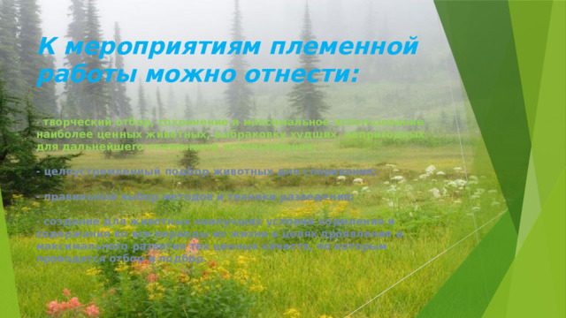 К мероприятиям племенной работы можно отнести:  - творческий отбор, сохранение и максимальное использование наиболее ценных животных, выбраковку худших, непригодных для дальнейшего племенного использования;   - целеустремленный подбор животных для спаривания;   - правильный выбор методов и техники разведения;   - создание для животных наилучших условий кормления и содержания во все периоды их жизни в целях проявления и максимального развития тех ценных качеств, по которым проводится отбор и подбор. 