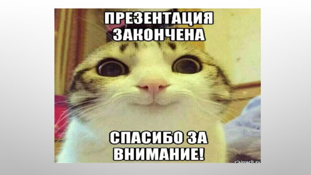 Спасибо котик мем