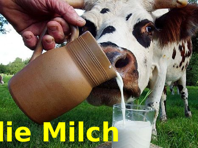 die Milch 