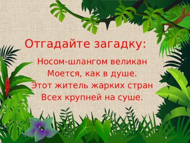 Отгадайте загадку: Носом-шлангом великан Моется, как в душе. Этот житель жарких стран Всех крупней на суше. 