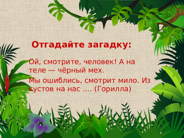 Отгадайте загадку: Ой, смотрите, человек! А на теле — чёрный мех. Мы ошиблись, смотрит мило. Из кустов на нас …. (Горилла) 