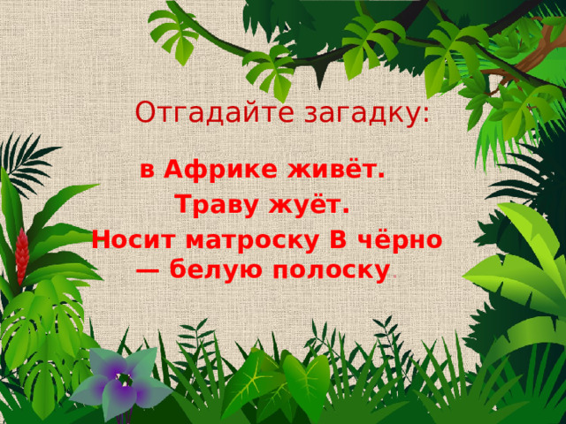 Отгадайте загадку: в Африке живёт. Траву жуёт. Носит матроску В чёрно — белую полоску . 