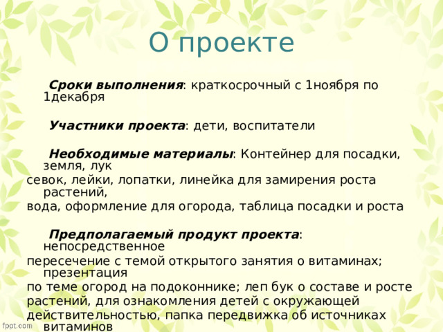 Предполагаемый продукт в проекте