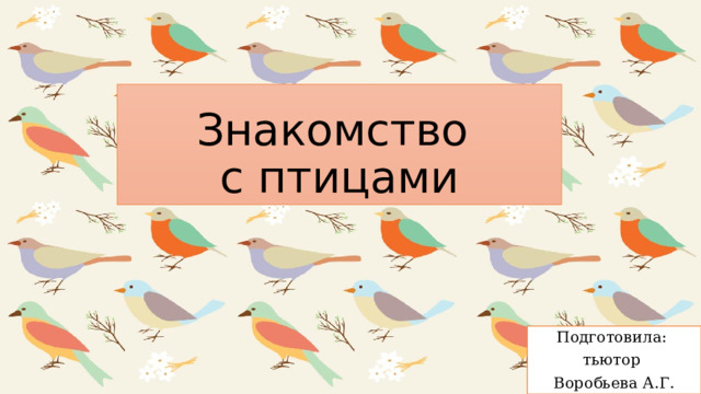 Как подготовить птицу. Птицы которые повторяют звуки. Птица повторяющая звуки