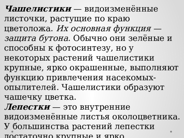 Чашелистики  — видоизменённые листочки, растущие по краю цветоложа. Их основная функция — защита бутона . Обычно они зелёные и способны к фотосинтезу, но у некоторых растений чашелистики крупные, ярко окрашенные, выполняют функцию привлечения насекомых-опылителей. Чашелистики образуют чашечку цветка. Лепестки — это внутренние видоизменённые листья околоцветника. У большинства растений лепестки достаточно крупные и ярко окрашенные. Совокупность всех лепестков цветка называют венчиком. 