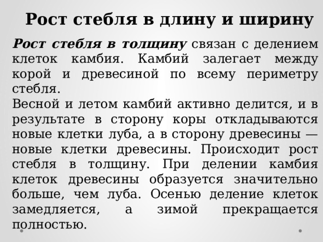 Рост стебля в длину и ширину Рост стебля в толщину связан с делением клеток камбия. Камбий залегает между корой и древесиной по всему периметру стебля. Весной и летом камбий активно делится, и в результате в сторону коры откладываются новые клетки луба, а в сторону древесины — новые клетки древесины. Происходит рост стебля в толщину. При делении камбия клеток древесины образуется значительно больше, чем луба. Осенью деление клеток замедляется, а зимой прекращается полностью. 