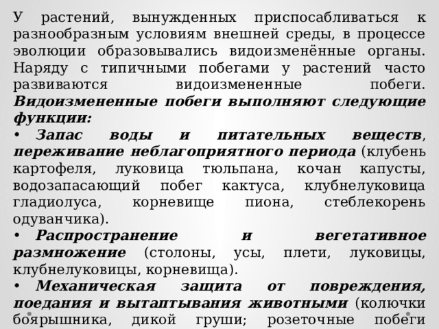 У растений, вынужденных приспосабливаться к разнообразным условиям внешней среды, в процессе эволюции образовывались видоизменённые органы. Наряду с типичными побегами у растений часто развиваются видоизмененные побеги. Видоизмененные побеги выполняют следующие функции: •  Запас воды и питательных веществ , переживание неблагоприятного периода (клубень картофеля, луковица тюльпана, кочан капусты, водозапасающий побег кактуса, клубнелуковица гладиолуса, корневище пиона, стеблекорень одуванчика). •  Распространение и вегетативное размножение (столоны, усы, плети, луковицы, клубнелуковицы, корневища). •  Механическая защита от повреждения, поедания и вытаптывания животными (колючки боярышника, дикой груши; розеточные побеги подорожника и очитка). •  Опорная функция (усики винограда, тыквенных — арбуза, тыквы, огурца). •  Фотосинтез (филлокладии иглицы и спаржи, кладодии зигокактуса). 