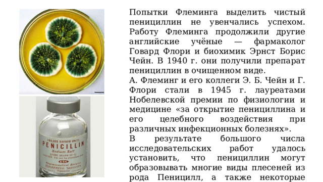 Попытки Флеминга выделить чистый пенициллин не увенчались успехом. Работу Флеминга продолжили другие английские учёные — фармаколог Говард Флори и биохимик Эрнст Борис Чейн. В 1940 г. они получили препарат пенициллин в очищенном виде. А. Флеминг и его коллеги Э. Б. Чейн и Г. Флори стали в 1945 г. лауреатами Нобелевской премии по физиологии и медицине «за открытие пенициллина и его целебного воздействия при различных инфекционных болезнях». В результате большого числа исследовательских работ удалось установить, что пенициллин могут образовывать многие виды плесеней из рода Пеницилл, а также некоторые виды аспергиллов. Кроме того, в настоящее время пенициллины получают также синтетическим путём. 