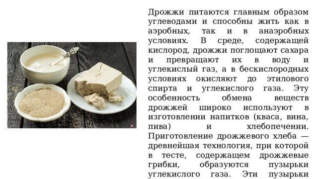 Дрожжи питаются главным образом углеводами и способны жить как в аэробных, так и в анаэробных условиях. В среде, содержащей кислород, дрожжи поглощают сахара и превращают их в воду и углекислый газ, а в бескислородных условиях окисляют до этилового спирта и углекислого газа. Эту особенность обмена веществ дрожжей широко используют в изготовлении напитков (кваса, вина, пива) и хлебопечении. Приготовление дрожжевого хлеба — древнейшая технология, при которой в тесте, содержащем дрожжевые грибки, образуются пузырьки углекислого газа. Эти пузырьки увеличивают тесто в объёме, а после выпечки придают хлебобулочным изделиям пористость и мягкость. 