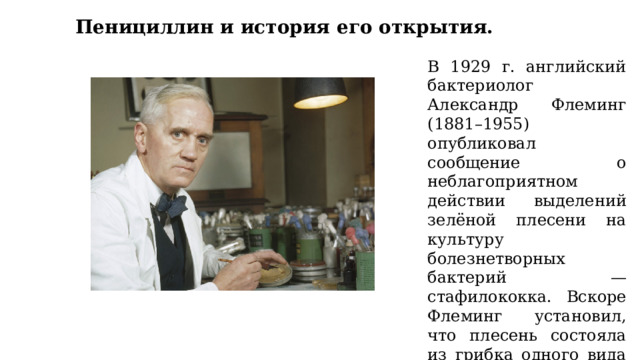 Пенициллин и история его открытия. В 1929 г. английский бактериолог Александр Флеминг (1881–1955) опубликовал сообщение о неблагоприятном действии выделений зелёной плесени на культуру болезнетворных бактерий — стафилококка. Вскоре Флеминг установил, что плесень состояла из грибка одного вида — Penicillium notatum. 