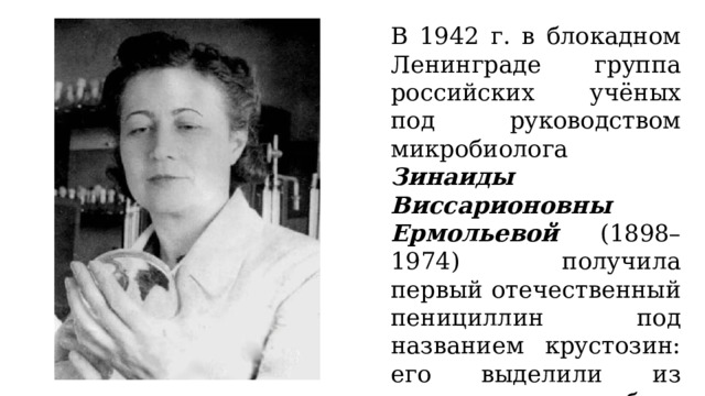 В 1942 г. в блокадном Ленинграде группа российских учёных под руководством микробиолога Зинаиды Виссарионовны Ермольевой (1898–1974) получила первый отечественный пенициллин под названием крустозин: его выделили из штамма грибков Penicillium сrustosum. 