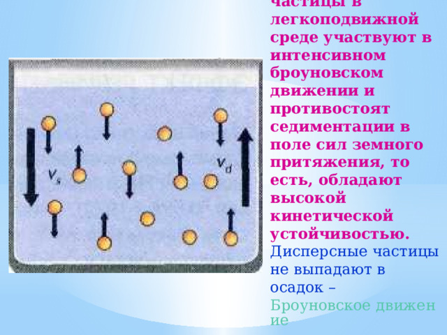 Коллоидные частицы в легкоподвижной среде участвуют в интенсивном броуновском движении и противостоят седиментации в поле сил земного притяжения, то есть, обладают высокой кинетической устойчивостью. Дисперсные частицы не выпадают в осадок – Броуновское движение поддерживает их во взвешенном состоянии. 