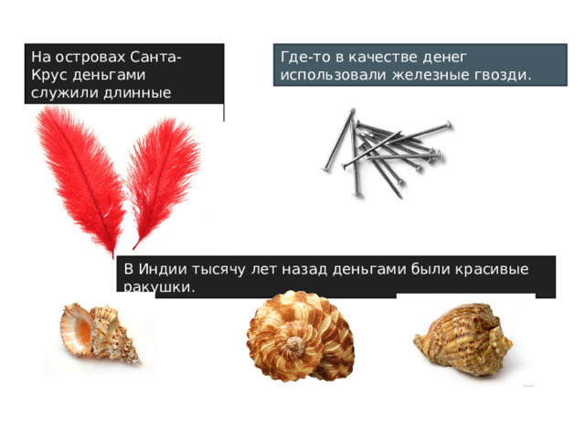 На островах Санта-Крус деньгами служили длинные красные перья. Где-то в качестве денег использовали железные гвозди. В Индии тысячу лет назад деньгами были красивые ракушки. 