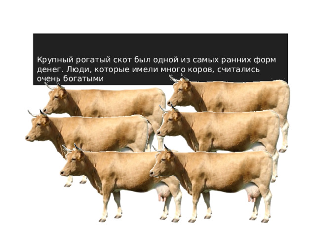 Крупный рогатый скот был одной из самых ранних форм денег. Люди, которые имели много коров, считались очень богатыми 
