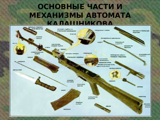 Образцы оружия РУЖЬЕ КРЕМНЕВОЕ ПЕХОТНОЕ»   (Россия, Тула, 1843 г.)   Памятное. Ствол воронен в коричневый цвет и  украшен наведенной золотом надписью:  
