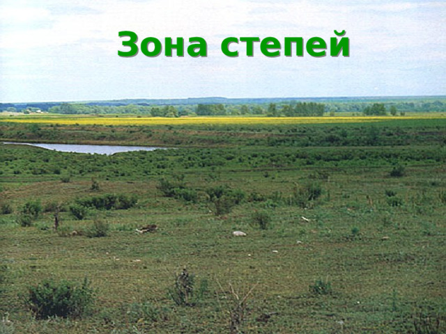 Воды зоны степей. Зона степей. Макет зоны степи. Эмблема природной зоны степи. Степная зона Западной Сибири.