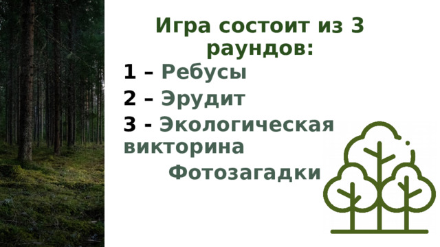 Игра состоит из 3 раундов: 1 – Ребусы 2 – Эрудит 3 - Экологическая викторина 4 – Фотозагадки  