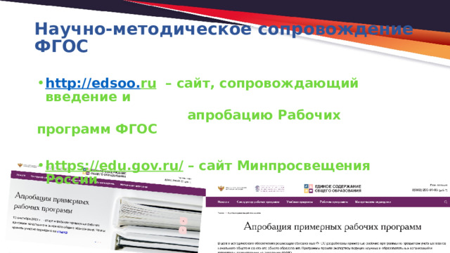 Научно-методическое сопровождение ФГОС http :// edsoo . ru – сайт, сопровождающий введение и  апробацию Рабочих программ ФГОС  https://edu.gov.ru/ – сайт Минпросвещения России 