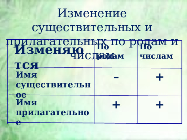 Изменение существительных и прилагательных  по родам  и числам Изменяются По родам По числам Имя существительное – + + Имя прилагательное +  