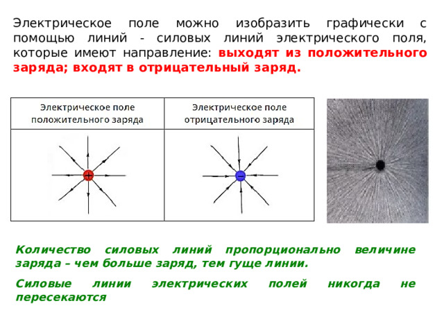 Электрическое поле можно изобразить графически с помощью линий - силовых линий электрического поля, которые имеют направление: выходят из положительного заряда; входят в отрицательный заряд. Количество силовых линий пропорционально величине заряда – чем больше заряд, тем гуще линии. Силовые линии электрических полей никогда не пересекаются 