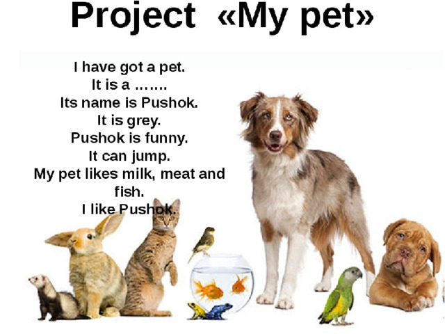 Английский язык рассказ о питомце. Мой питомец по английскому. Проект my Pet. Проект по английскому языку мой питомец. Тема my Pet.