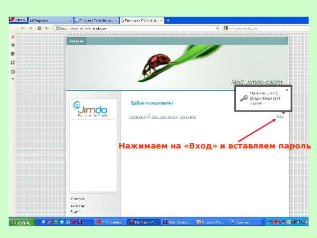 Нажимаем на «Вход» и вставляем пароль 