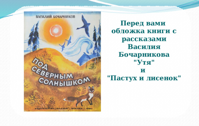 Перед вами обложка книги с рассказами Василия Бочарникова  