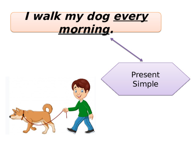I walk my dog every morning . Present Simple 