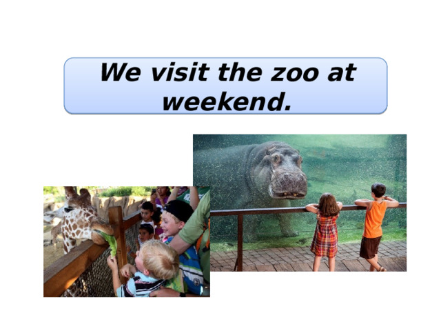 We visit the zoo at weekend. 