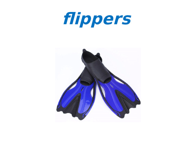 flippers 