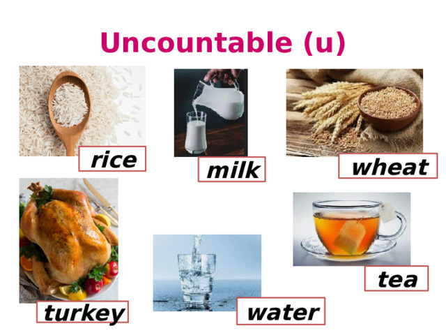 Uncountable (u) rice wheat milk tea water turkey 