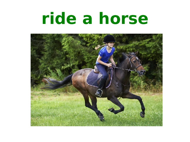 ride a horse 
