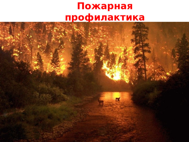 Пожарная профилактика 