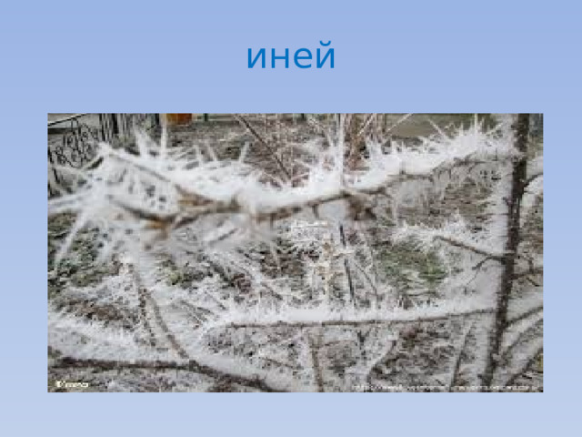 иней 