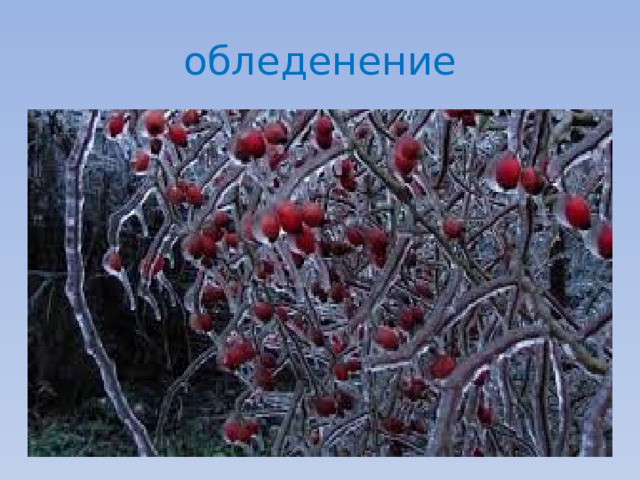 обледенение 