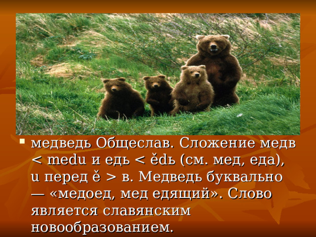медведь Общеслав. Сложение медв  в. Медведь буквально — «медоед, мед едящий». Слово является славянским новообразованием. 