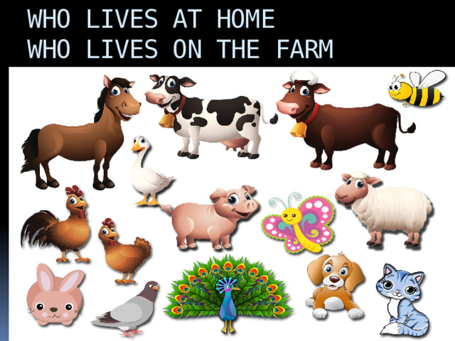 WHO LIVES AT HOME  WHO LIVES ON THE FARM 