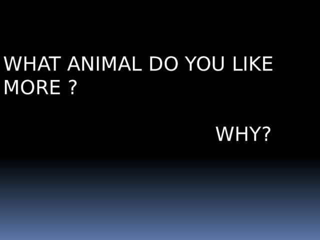 WHAT ANIMAL DO YOU LIKE MORE ?  WHY? 