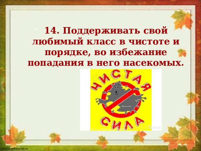 14. Поддерживать свой любимый класс в чистоте и порядке, во избежание попадания в него насекомых. 