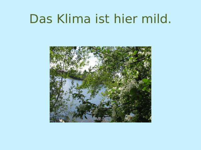 Das Klima ist hier mild. 