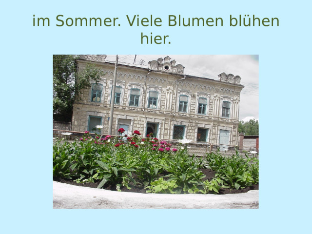 im Sommer. Viele Blumen blühen hier. 